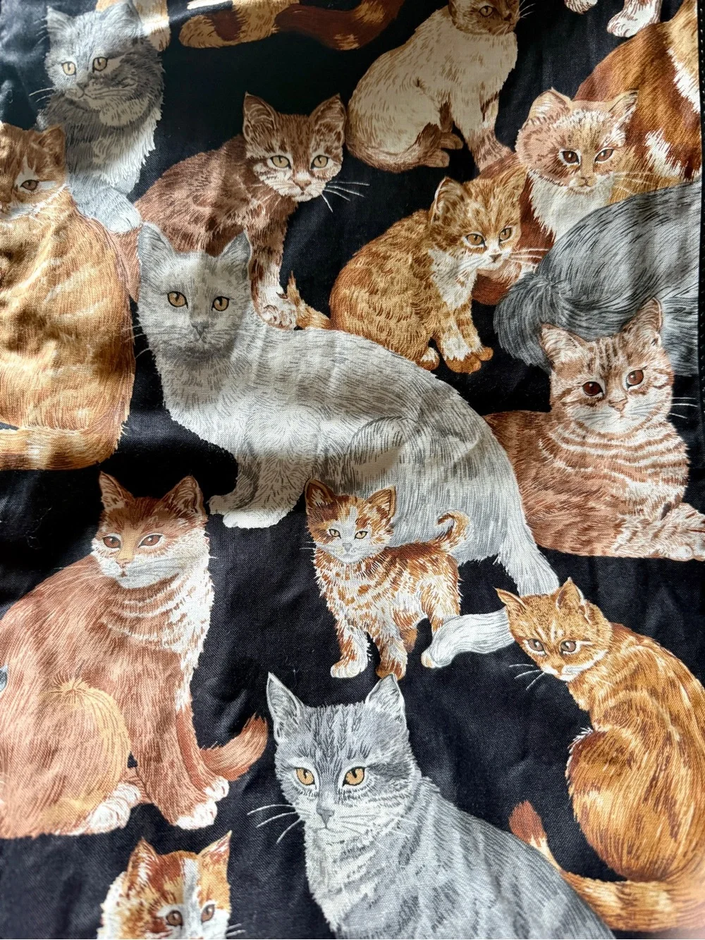 Vintage Viator Cat Print Garment Hanging Bag- Double Sided